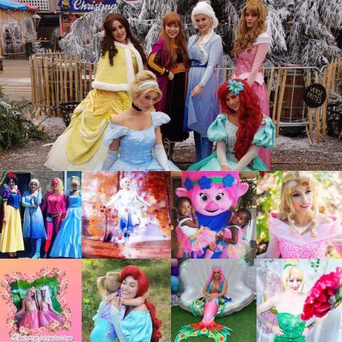 Prinsessenfeestjes , prinses inhuren